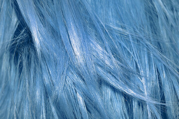 Obraz premium Blue shiny hair as background