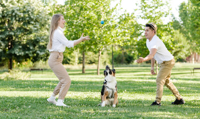 Couple playing with their dog in the park. Latino man and Caucasian woman with a Border collie