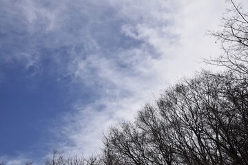 Landscape background material / Collaboration of blue sky, white clouds and natural landscape