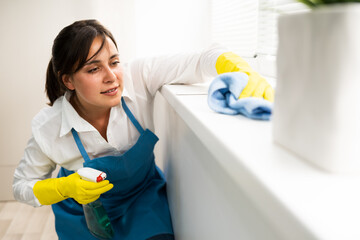 Professional House Cleaning Service. Room Cleaner