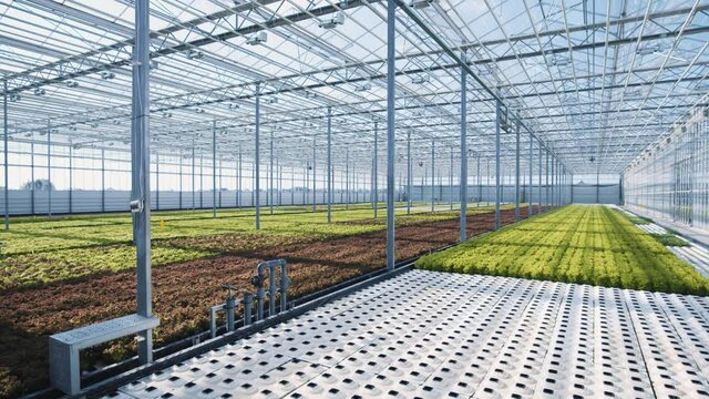 Autonomous Greenhouse. Large warmhouse interior with fruit, vegetable and herbs variety plantations. Organic bio farming. Industrial agriculture. Ecology.