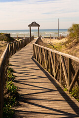 Obraz premium Wooden bridge that goes directly to the sea. A small forest surrounds us and it is an autumn afternoon.