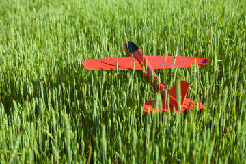 styrofoam plane is on grass top view