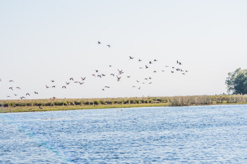 Paisajes del Portal Carambola Ibera