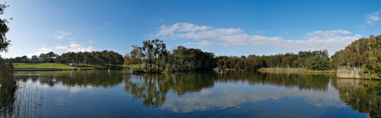 Fototapeta na wymiar Beautiful panoramic view of a lake with reflections of blue sky, clouds, and trees on water, lake Pavillion, Sydney Olympic park, Sydney, New South Wales, Australia 