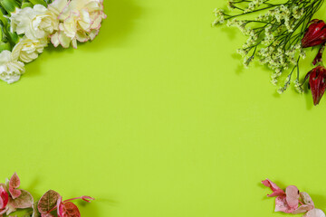 グリーン背景のカーネーションとスターチス