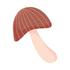 mushroom nature isolated design white background