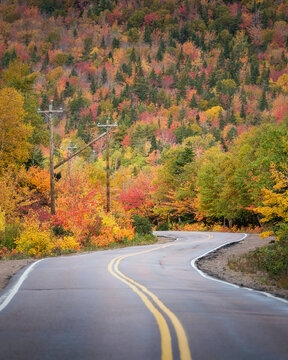 Fall colours on the Cabot Trail