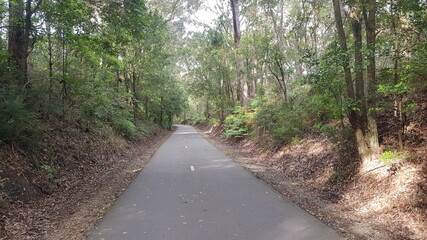 Fototapeta premium The Fernleigh Track a Walking and Bike Track in Newcastle New South Wales Australia. A disused railway track