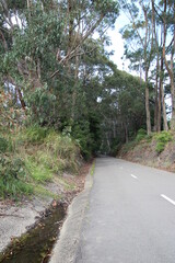 Fototapeta na wymiar The Fernleigh Track a Walking and Bike Track in Newcastle New South Wales Australia. A disused railway track