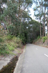 The Fernleigh Track a Walking and Bike Track in Newcastle New South Wales Australia. A disused railway track