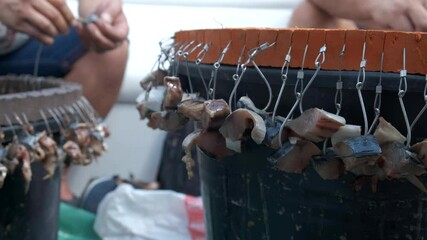 Fishing at the sea. Two fishermen in a boat are baiting fishing hooks. Close-up of pangan and fishing hooks with bait
