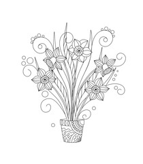 monochrome card with contour isolated narcissuses in the pot