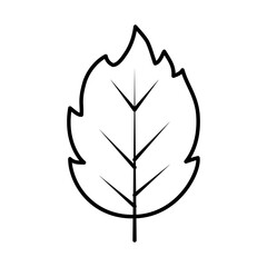 dry leaf icon, line style