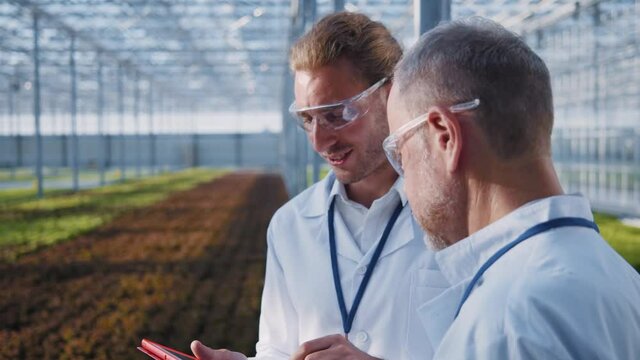 Group of successful farm engineers standing in greenhouse, using tablet computer application, and inspecting optimal growth of ecological plantations. Cooperation concept.