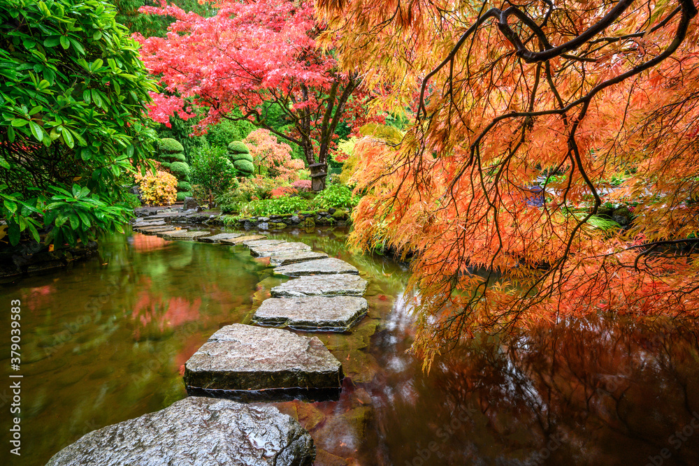 Sticker Beautiful Japanese maple trees in the Butchart Gardens