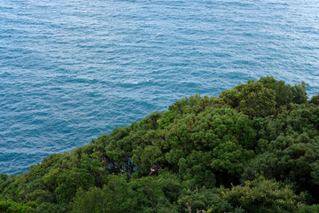海辺の風景・南紀