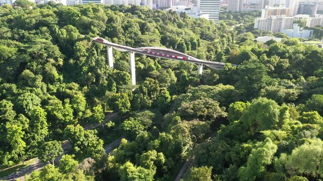 Singapore July 2020 Early morning at Henderson Waves bridge 4k aerial video 