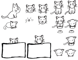 Gato poses y caras