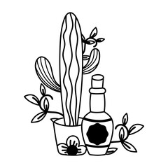 mexican independence day, cactus tequila bottle decoration, viva mexico is celebrated on september line style