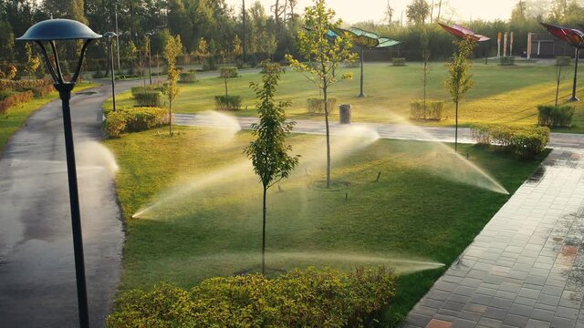 The automatic watering system irrigates lawn grass and other plants in the park at dawn. The sun's rays break through the branches of trees.