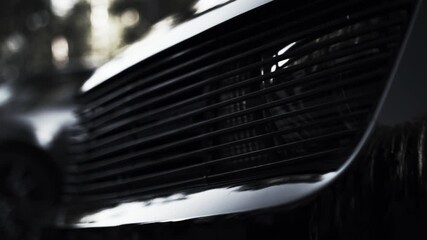 Black aggressive muzzle of the car, close-up