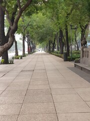 Paseo de la Reforma Ciudad de Mèxico 