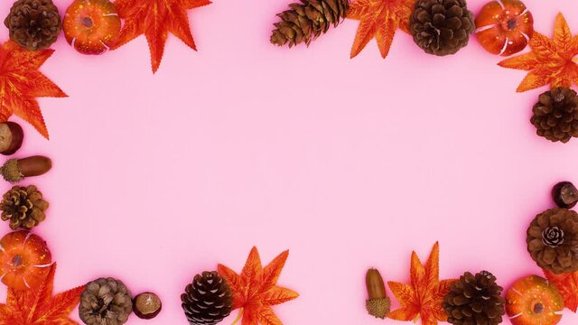 Autumn leaves, pine cones and nuts appear and make frame on pink theme. Stop motion 
