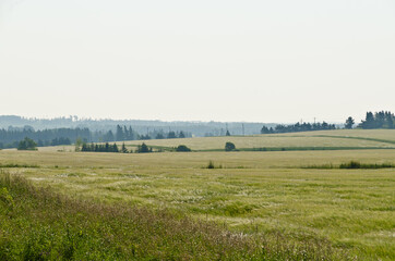 View of fields and forests