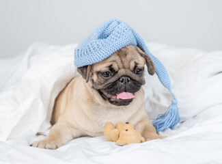 Sleepy Pug puppy wearing a warm blue hat hugs favorite toy bear and lies under warm blanket on the bed at home