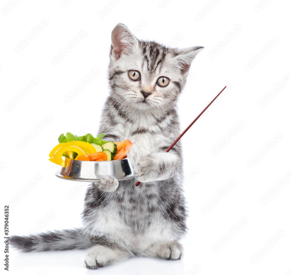 Aufkleber Cute kitten stands with bowl of the vegetables and points away on empty space. Isolated on white background