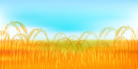 米　稲　秋　背景