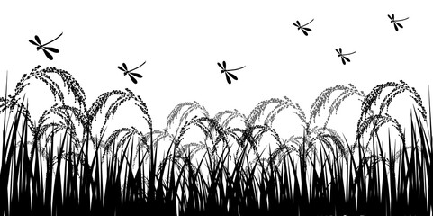  米　稲　とんぼ　 背景 © J BOY