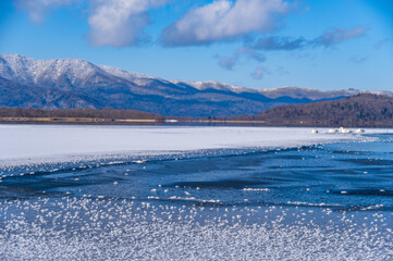 Obraz premium 青空の下の冬の湖。屈斜路湖、北海道。