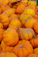 Vertical framed Grouping of small sweetie pie miniature pumpkins for sale on wooden cart at farmer's market outdoor display