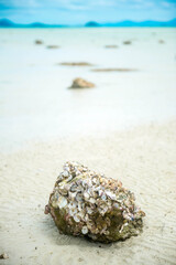 blue sky and sunny day time with sand place