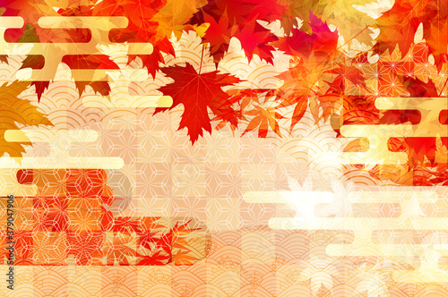 紅葉 もみじ 秋 背景 Wall Mural Wallpaper Murals J Boy 紅葉 もみじ 秋 背景 Wall Mural Wallpaper Murals J Boy