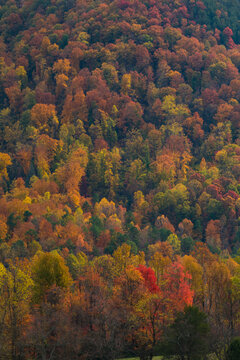 Autumn, East Tennessee Foothills
