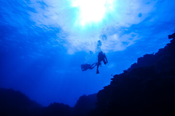Fototapeta premium 沖縄 ダイビング okinawa diving