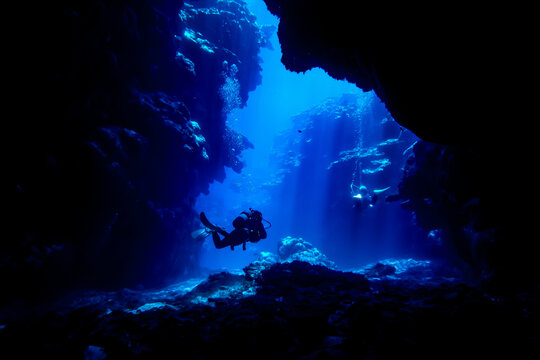 沖縄　ダイビング　okinawa diving