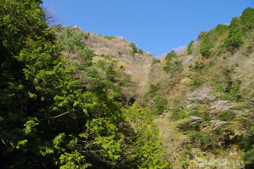 Fototapeta na wymiar Mountain and sky scenery of Mitarai Valley in Nara Prefecture, Japan