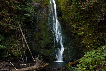 Madison Creek Falls - 01