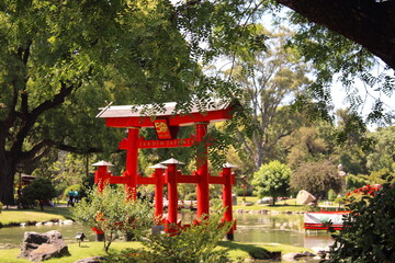 japanese garden in spring