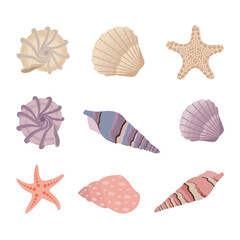 Vector illustration of a set of sea shells and starfishes