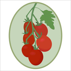 Vector illustration of a branch of fresh tomato