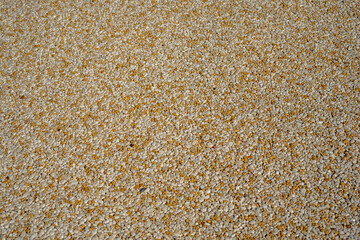  Tiny gravel texture on brown concrete wall. Texture background seamless gravel floor. Selective focus