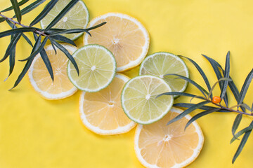 lemon slices on a yellow background with a sprig of green sea buckthorn. Berry and citrus