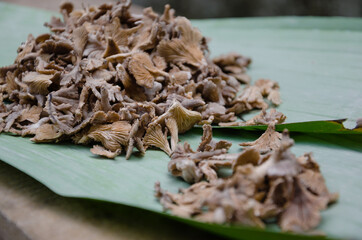 Brown Fungi from the Southern Tropical Forest of Thailand and is One of Good Natural Ingredient for Food Cooking. 