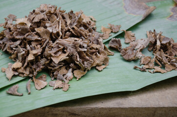 Brown Fungi from the Southern Tropical Forest of Thailand and is One of Good Natural Ingredient for Food Cooking. 