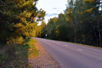 brightly lit branches along the road at sunset